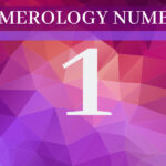 Importance of Number 1